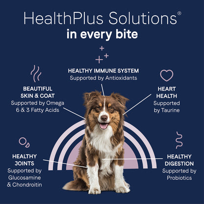 Canidae PURE Grain Free Bison, Lentil and Carrot Recipe Dry Dog Food