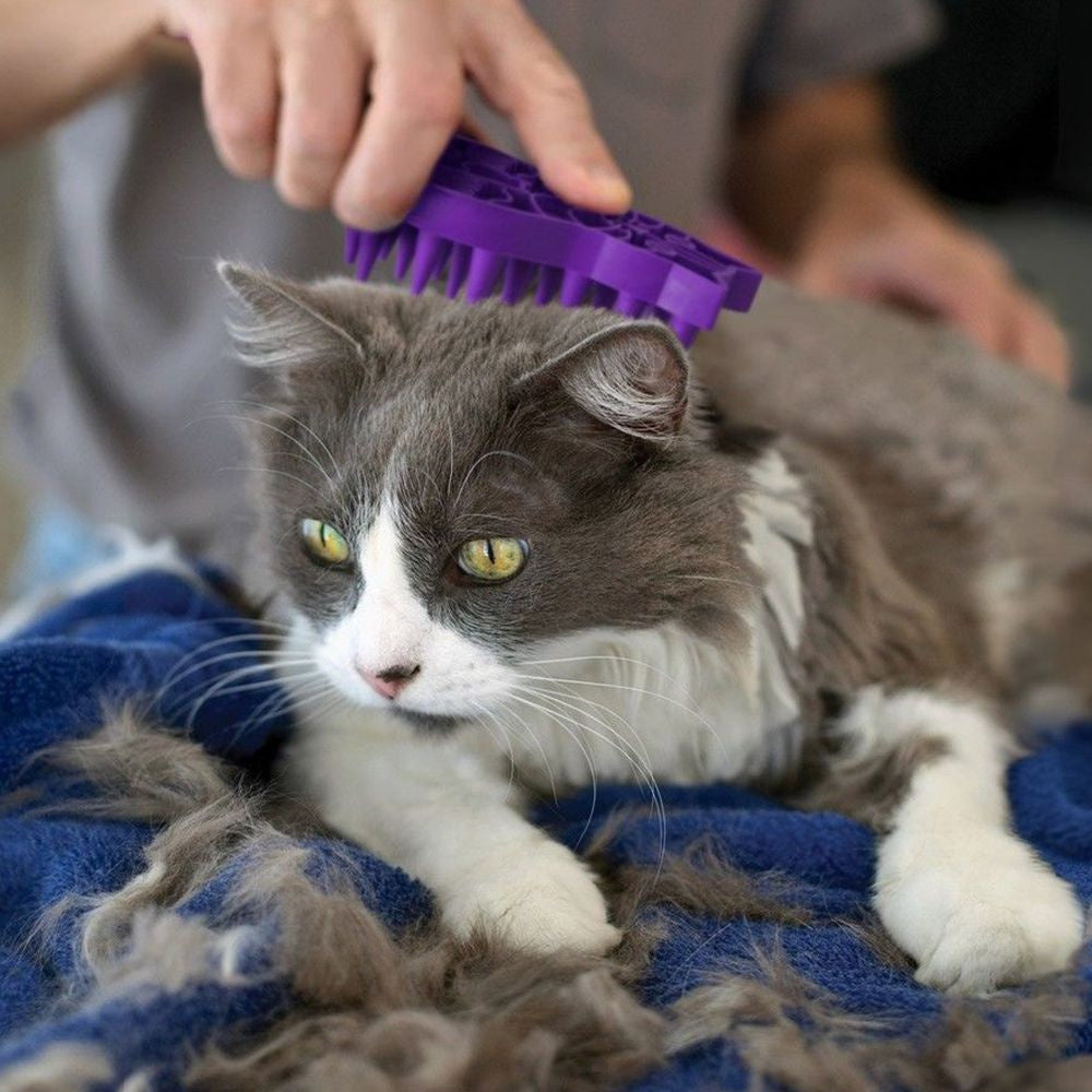 ZoomGroom Rubber Cat Brush Purple