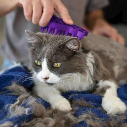 ZoomGroom Rubber Cat Brush Purple