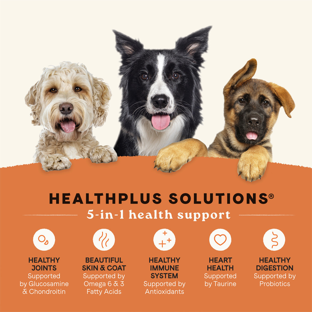 Canidae All Life Stages Multi-Protein Recipe Dry Dog Food