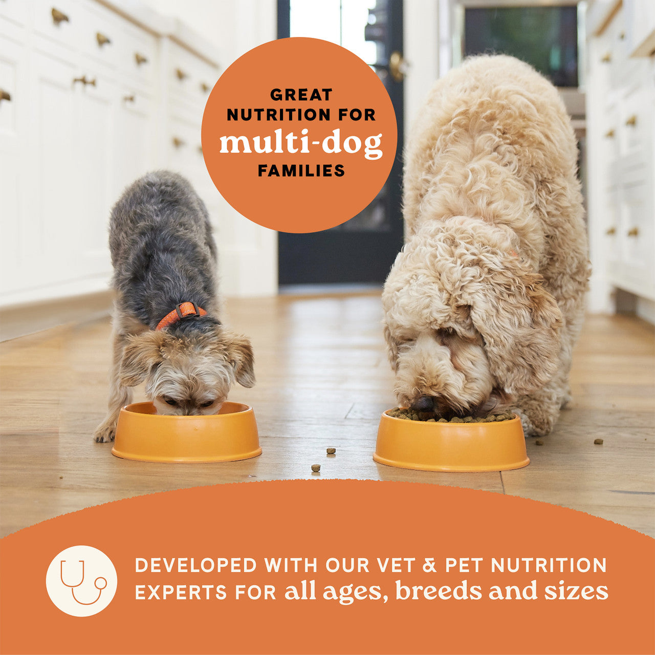 Canidae All Life Stages Multi-Protein Recipe Dry Dog Food