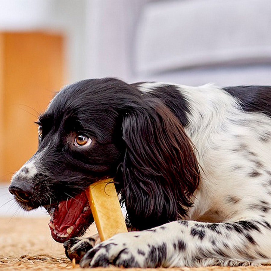 Yakers Original Dog Chew Extra Extra Large (Pack of 8)