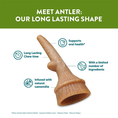 Whimzees Antler Medium 12 Pack (Pack of 6)