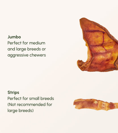 Jumbo Pig Ears