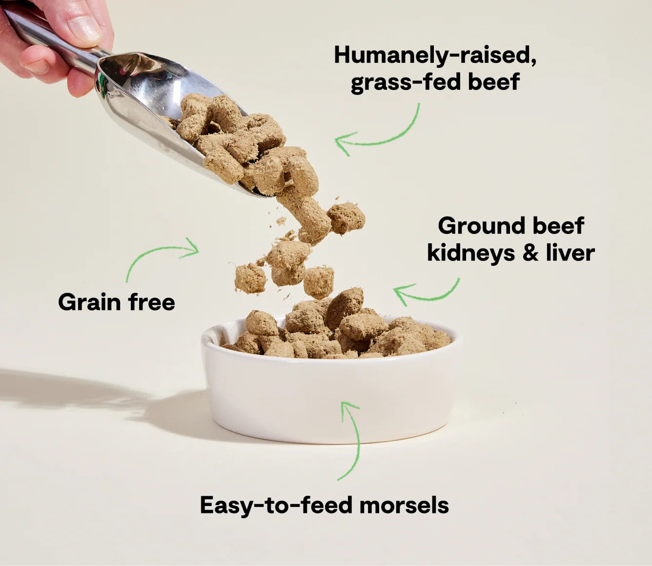 Open Farm Freeze Dried Raw Grass-Fed Beef Morsels For Dogs