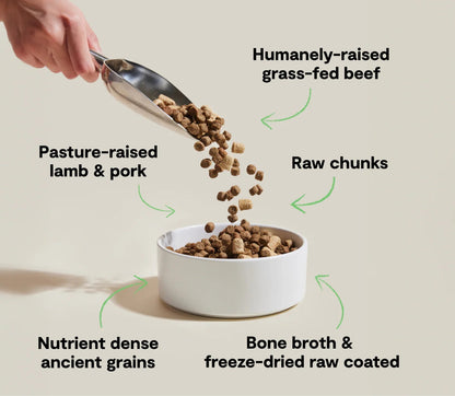 Open Farm RawMix Front Range Ancient Grains Dry Dog Food