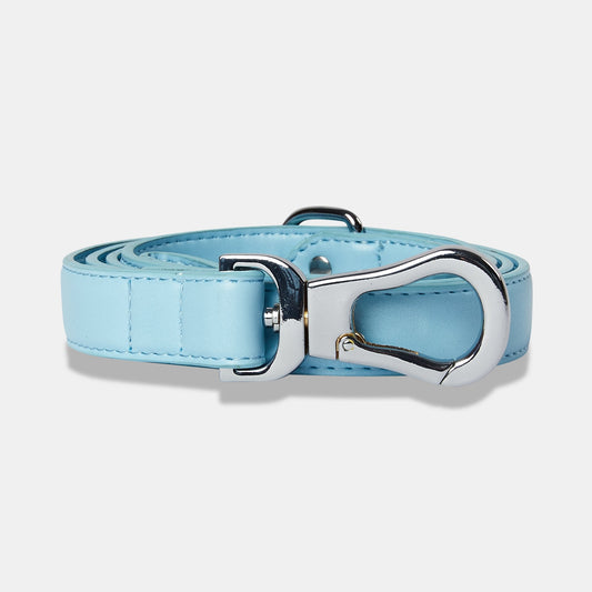 Coastal Blue City Lead