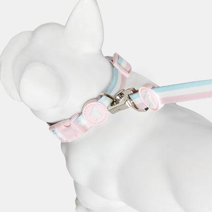 Candyfloss Stripe Fabric Dog Collar