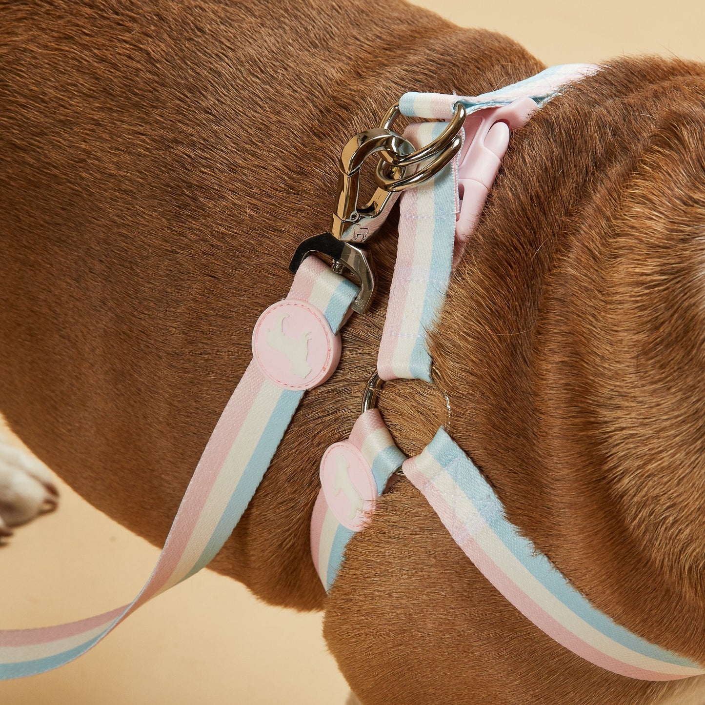 Candyfloss Stripe Fabric Dog Harness