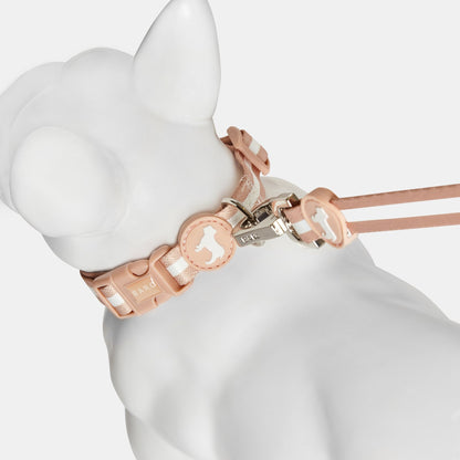 Champagne Stripe Fabric Dog Collar
