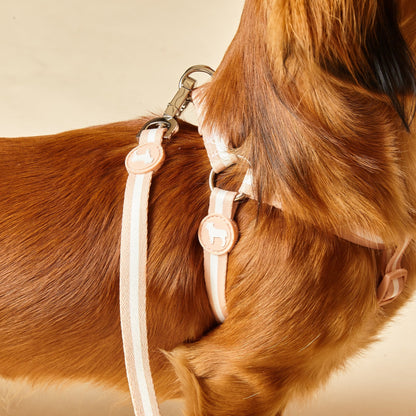 Champagne Stripe Fabric Dog Harness