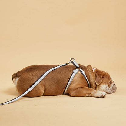 Liquorice Stripe Fabric Dog Harness