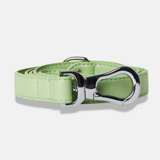 Lush Green City Lead