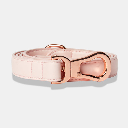 Blush Pink City Lead
