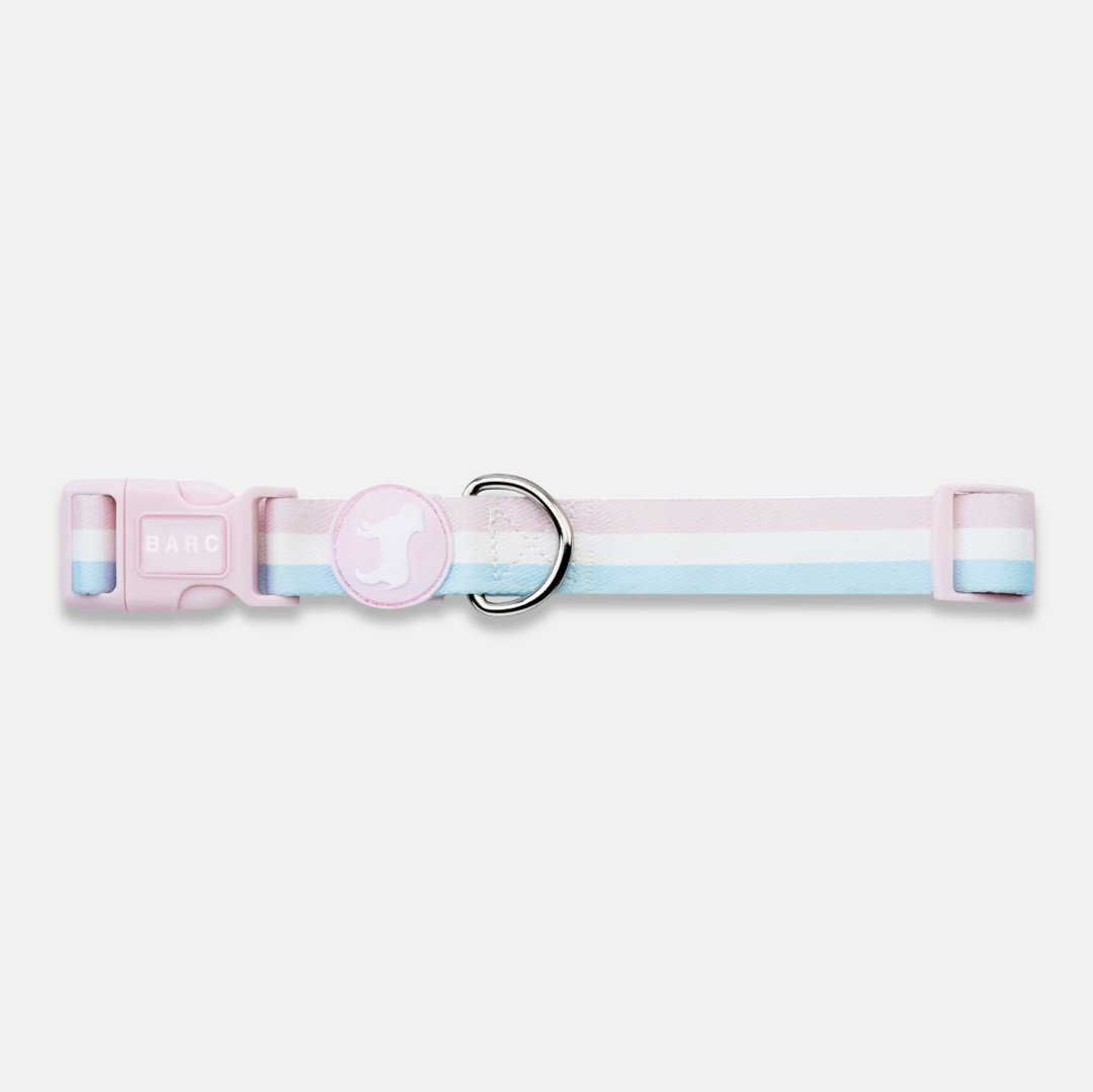 Candyfloss Stripe Fabric Dog Collar
