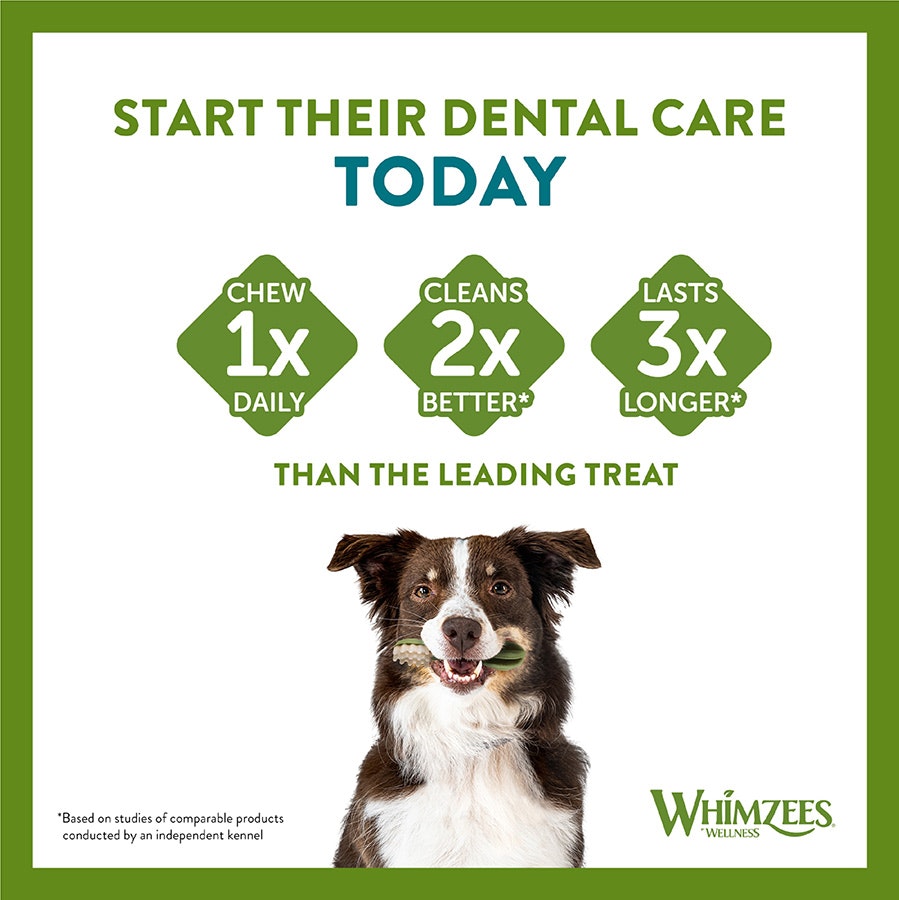 Whimzees Antler Medium 12 Pack (Pack of 6)