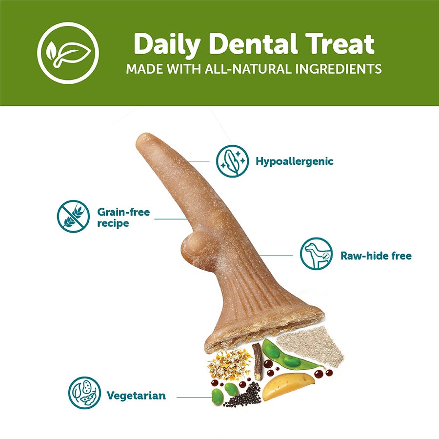 Whimzees Antler Medium 12 Pack (Pack of 6)